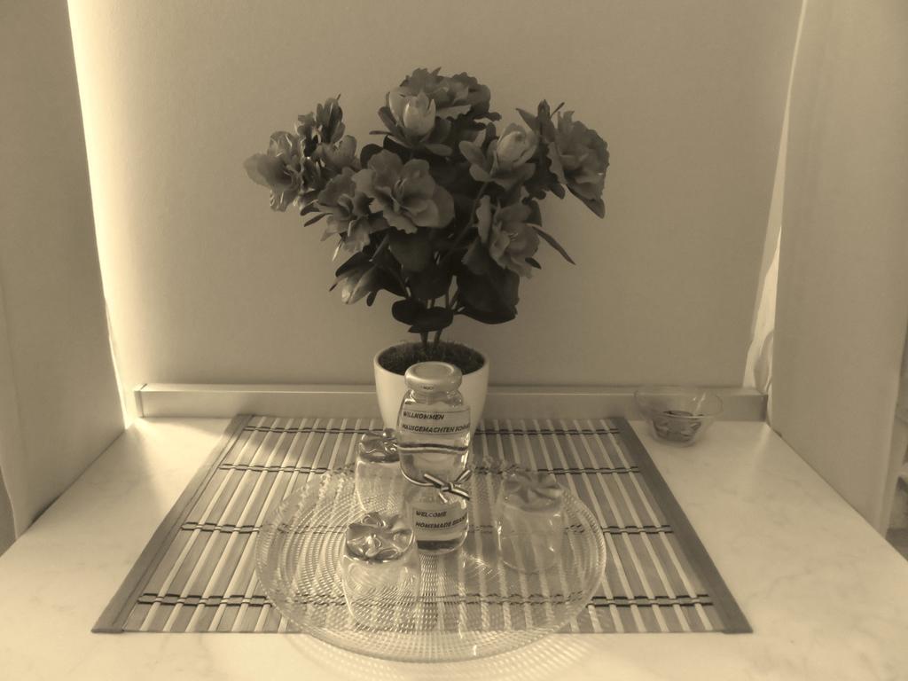 Apartment Barbara - Bojana Σίμπενικ Δωμάτιο φωτογραφία